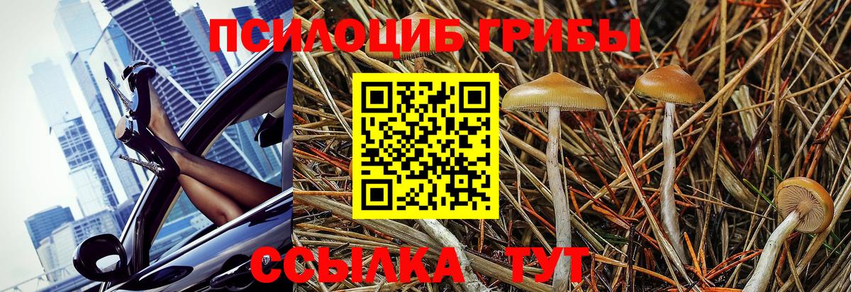 Галлюциногенные грибы Cubensis Дивногорск